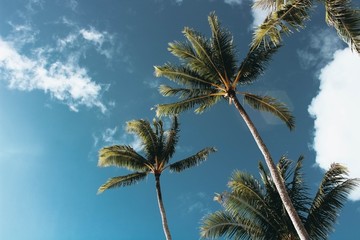 海边风景