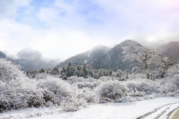 林芝雪景