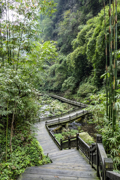 三峡人家