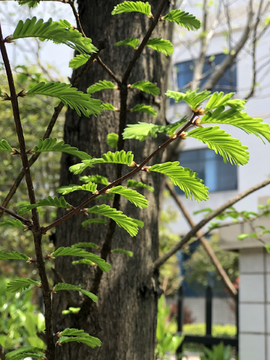 多彩风景