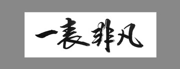 一表非凡