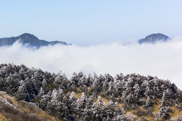 神农架雪景