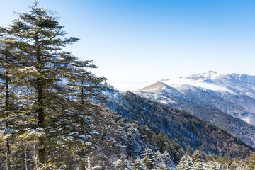 神农架雪景