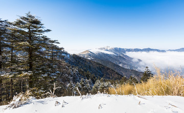 神农架雪景