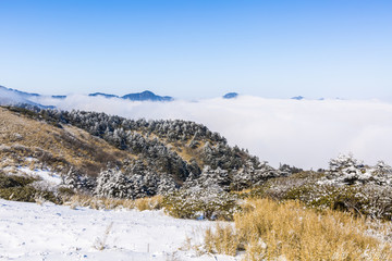 神农架雪景