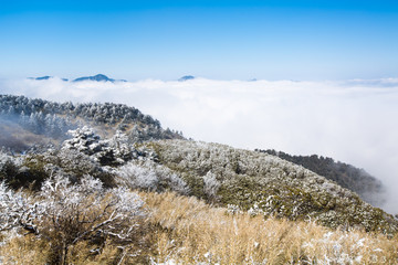 神农架雪景