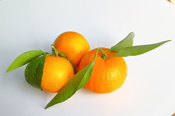 橘子丑橘