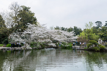 杭州西湖