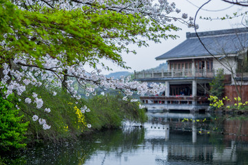 杭州西湖