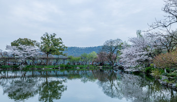 杭州西湖