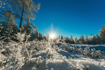 雪景