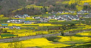 美丽新村