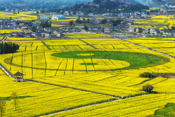 太极八卦油菜花田