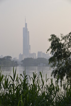 远眺紫峰