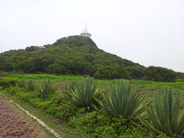 草地蓝天