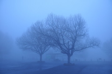 迷雾清晨