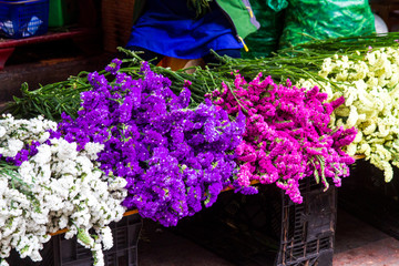 贵阳市场鲜花