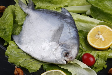 鳊鱼扁鱼银鱼银鲳海鲜海味