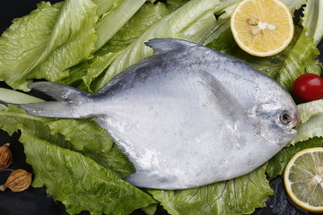 鳊鱼扁鱼银鱼银鲳海鲜海味镜鱼