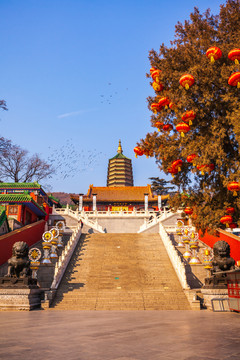 八大处公园灵光寺