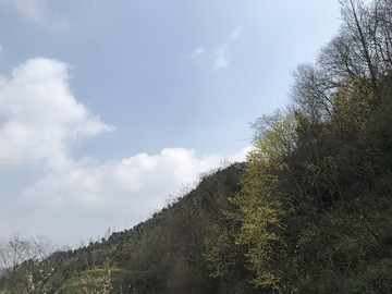 四川蒲江光明官帽山