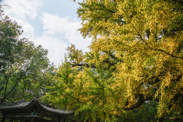 晋祠