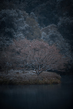 九溪枫叶雪景