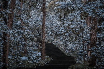 九溪雪景