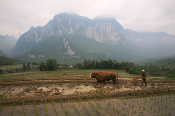 春耕场景