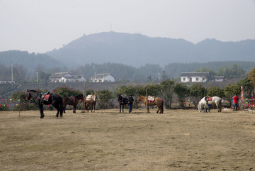 跑马场