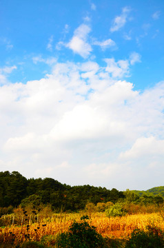 千山积翠山景区天空彩云与山