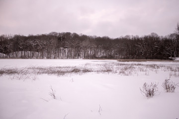 雪景