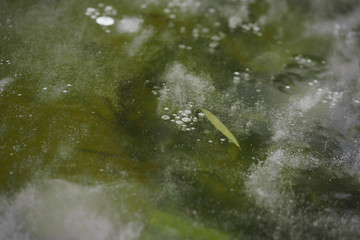 河水里的冰