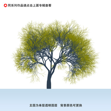 大樹