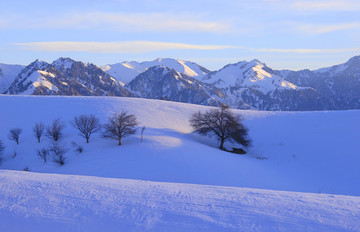 福寿山冬景