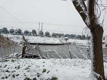 下雪了