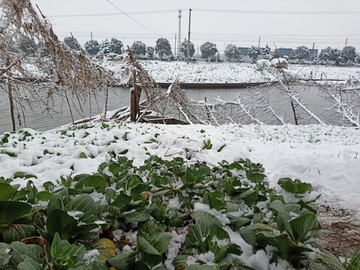 下雪了