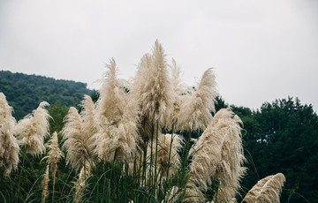 杭州西湖