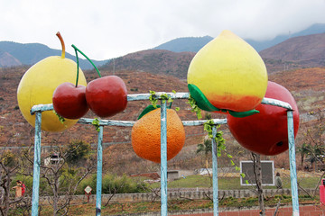 汉源九襄梨花广场水果雕塑