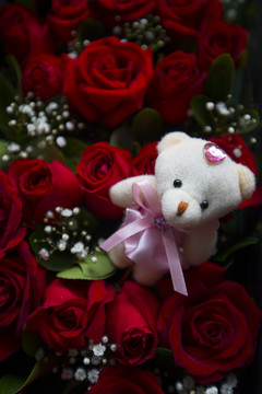 红玫瑰与小熊