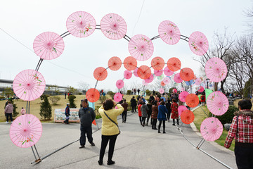 油纸伞展览