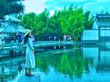 苏州博物馆湖畔风景