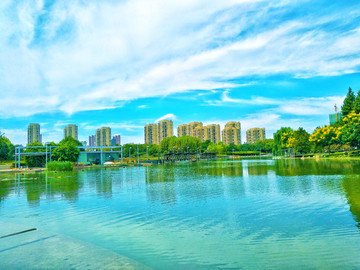 苏州白塘湖生态植物园湖畔风景