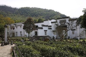 雷家大院