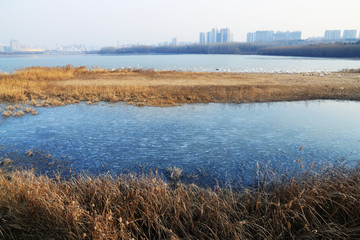 三门峡天鹅湖