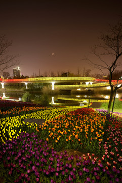 金华燕尾洲郁金香夜景