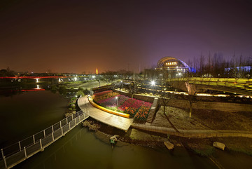 金华燕尾洲婺剧院郁金香夜景