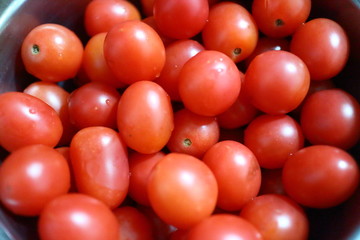 小西红柿