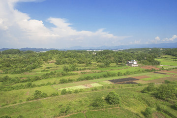 山野绿田好景色