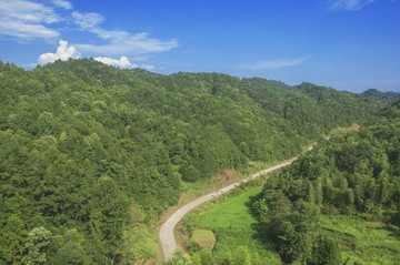 高山下的小路